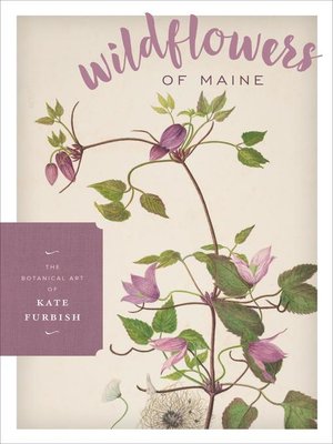 cover image of Wildflowers of Maine